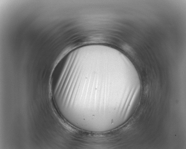 X0000066961370200604142104