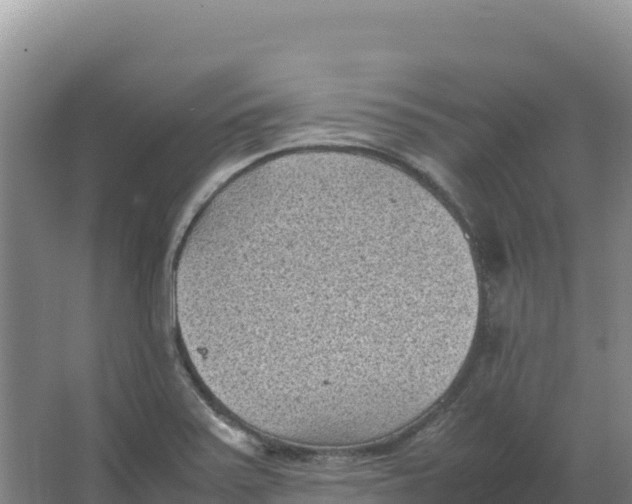 X0000066961371200604142104