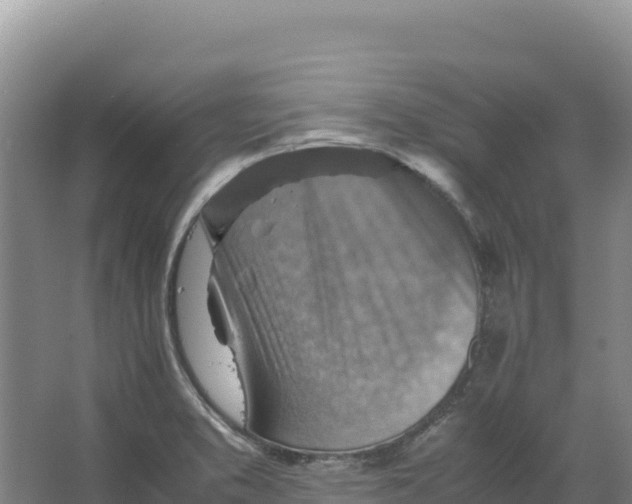 X0000066961373200604142104