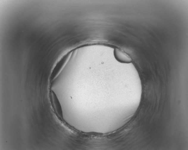 X0000066961374200604142104