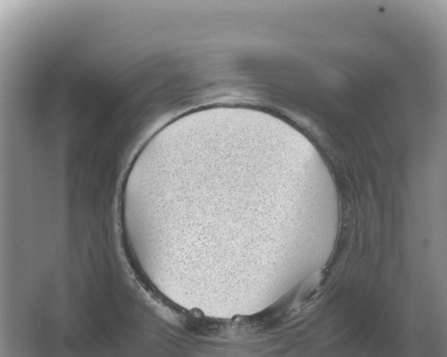 X0000066961375200604142104