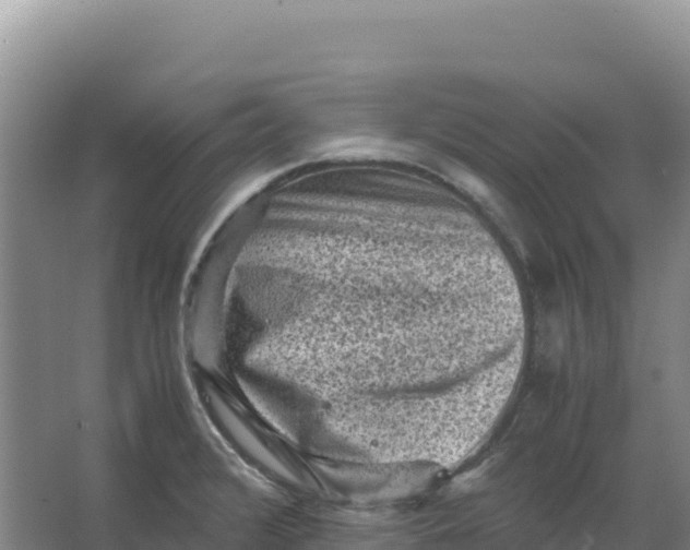 X0000066961376200604142104