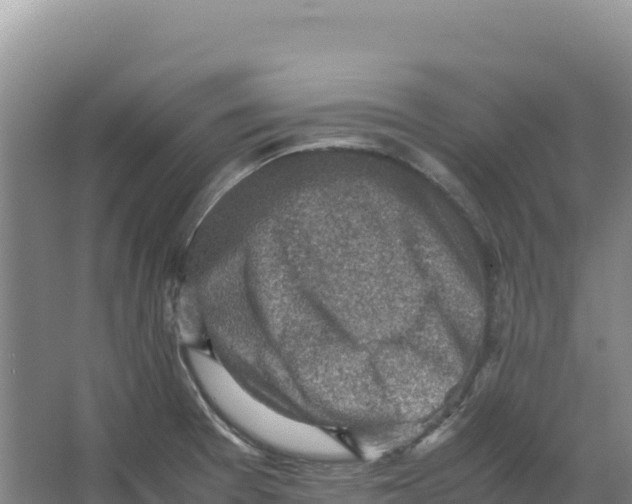 X0000066961377200604142104