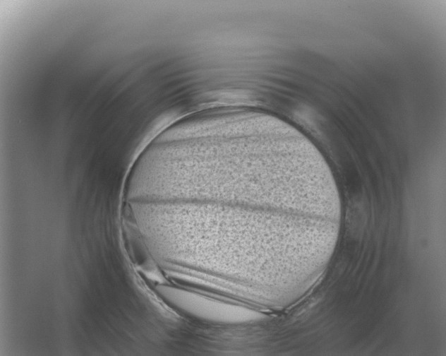 X0000066961378200604142104