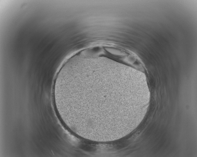 X0000066961379200604142104