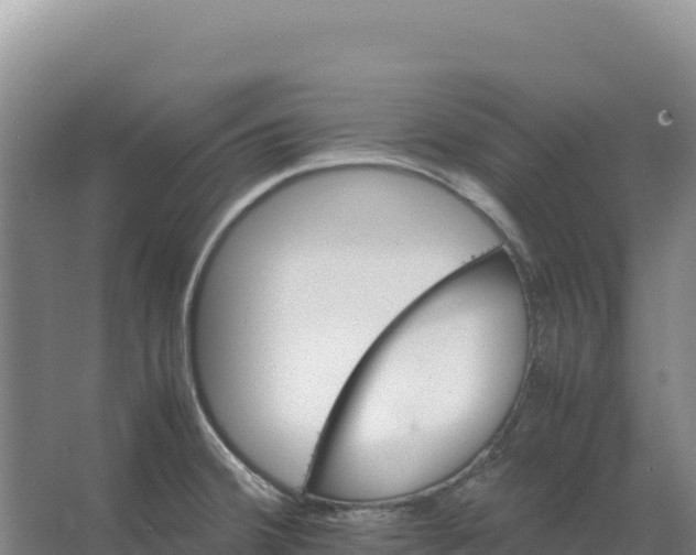 X0000066961380200604142104