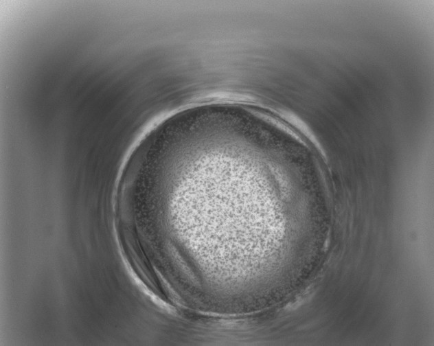 X0000066961381200604142104