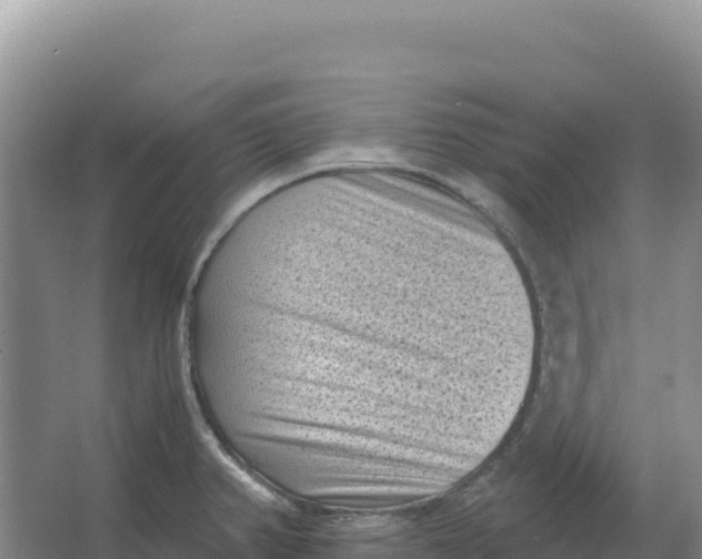 X0000066961382200604142104