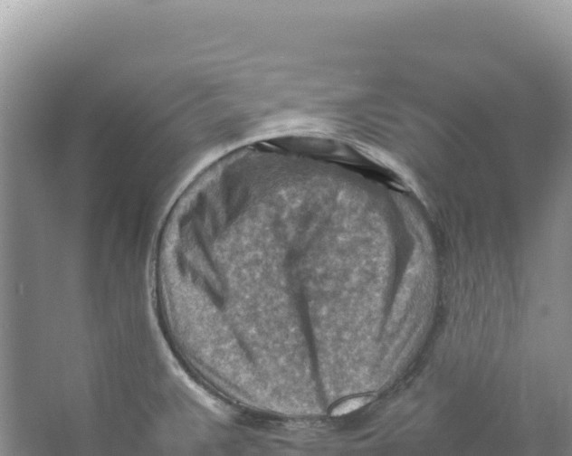 X0000066961383200604142104