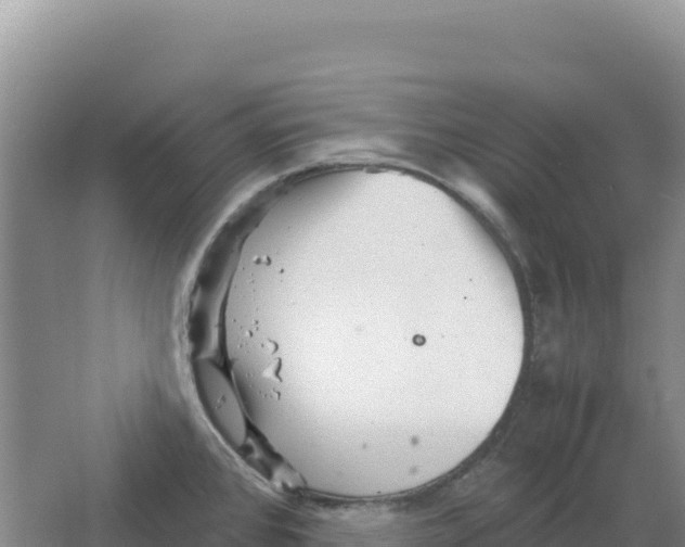 X0000066961384200604142104