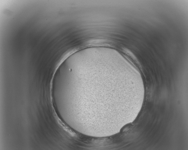 X0000066961386200604142104