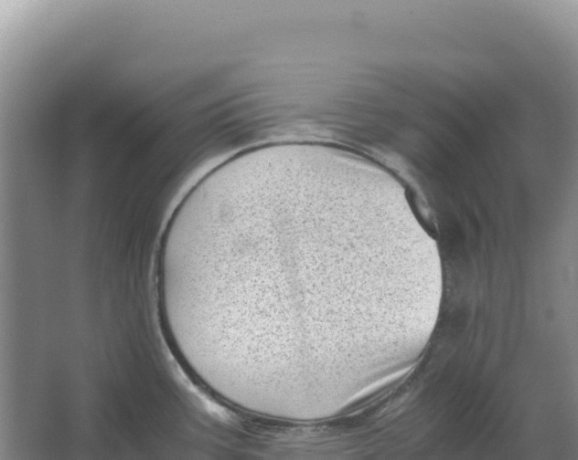 X0000066961387200604142104