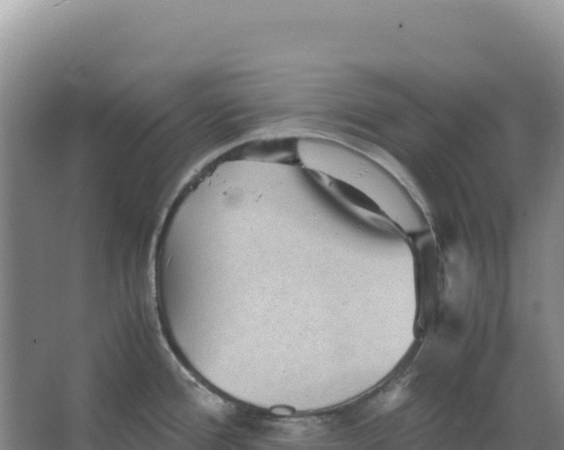 X0000066961388200604142104