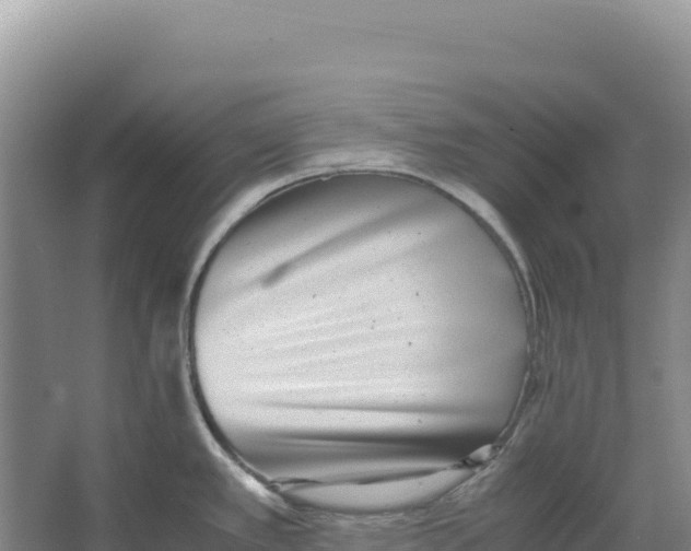 X0000066961389200604142104