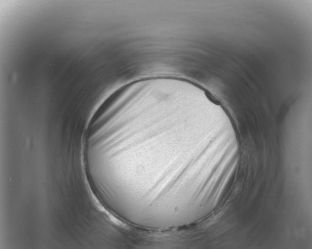 X0000066961390200604142104