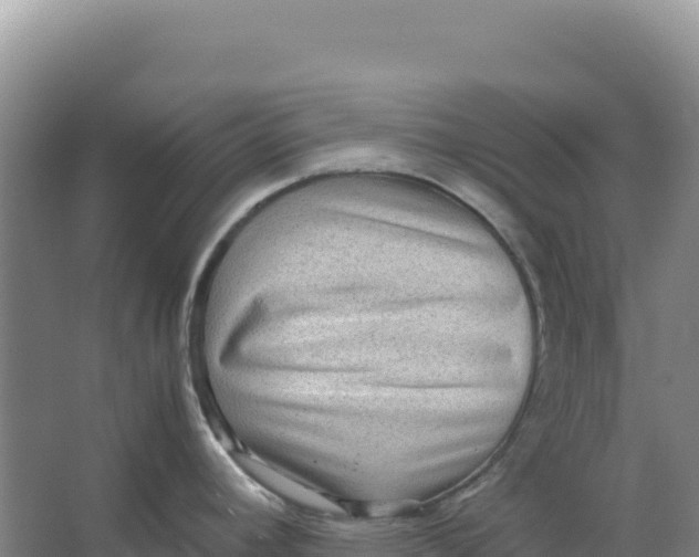 X0000066961392200604142104