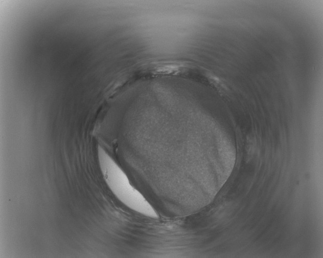 X0000066961394200604142103