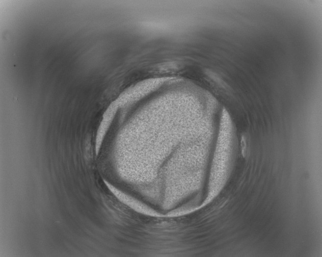 X0000066961395200604142103