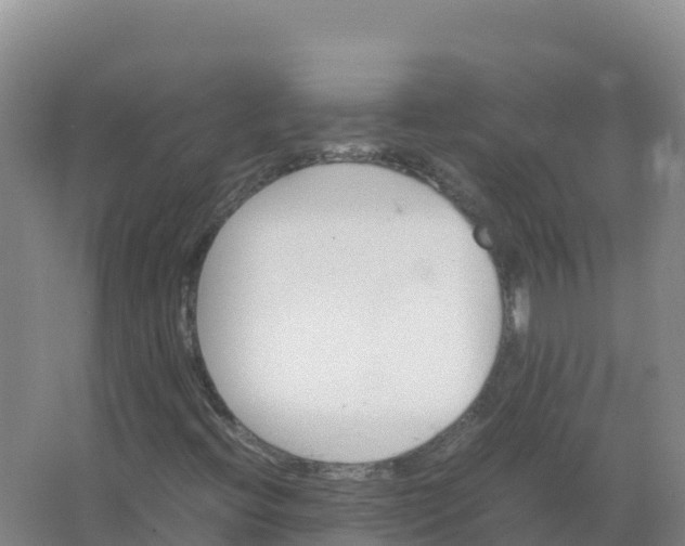 X0000066961396200604142103