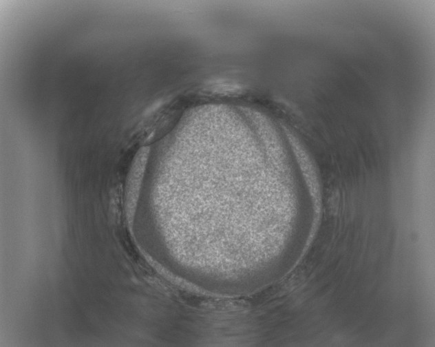 X0000066961397200604142103