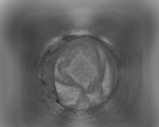 X0000066961398200604142103