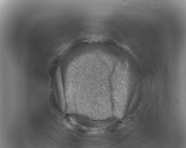 X0000066961399200604142103