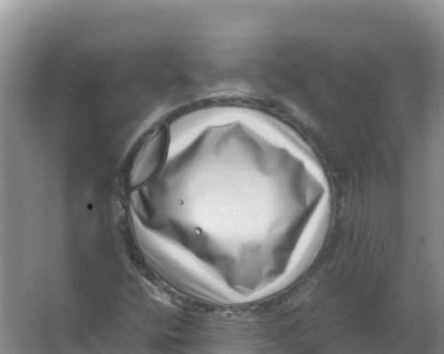 X0000066961400200604142103