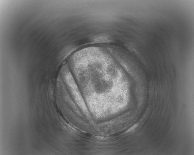 X0000066961401200604142103