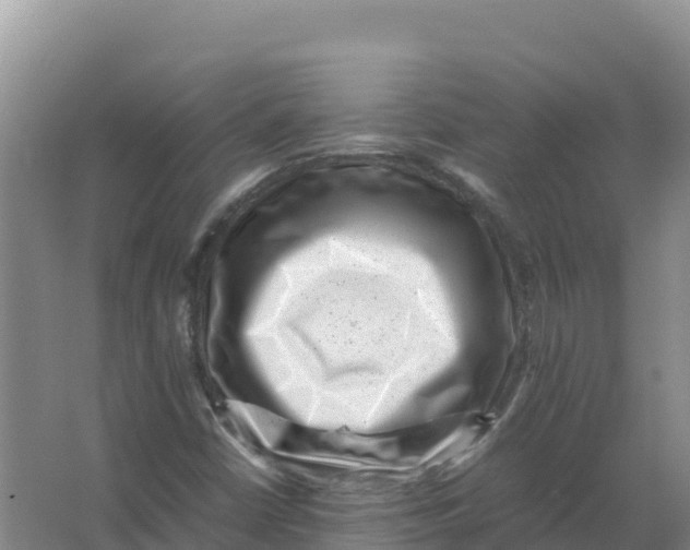 X0000066961402200604142103