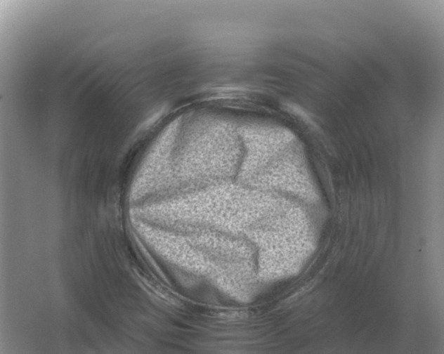 X0000066961403200604142103