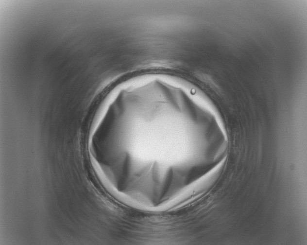 X0000066961404200604142103