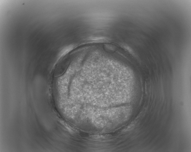 X0000066961405200604142103