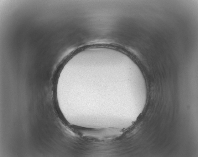 X0000066961406200604142103