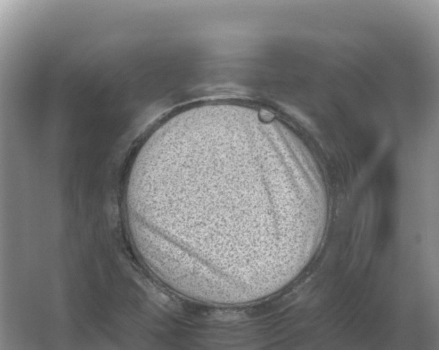 X0000066961407200604142103