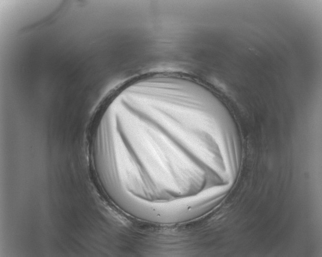 X0000066961408200604142103