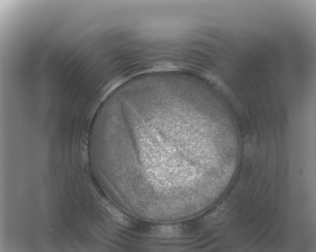 X0000066961409200604142103