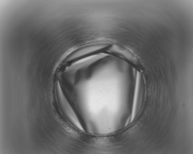 X0000066961410200604142103