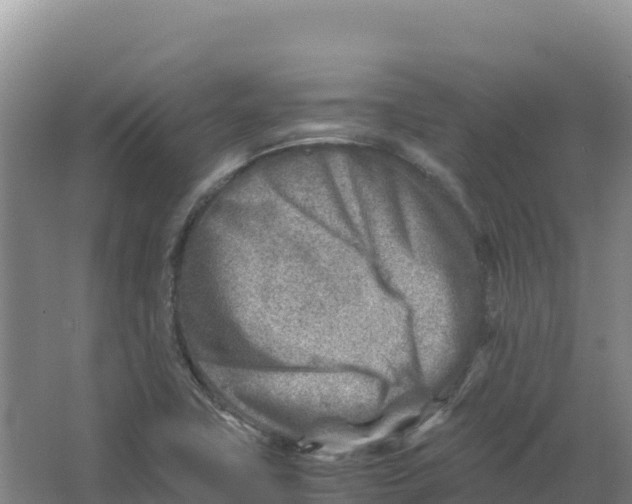 X0000066961411200604142103