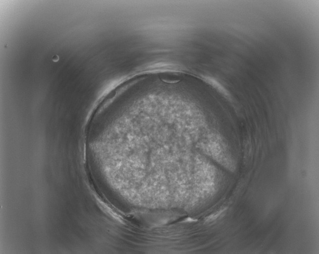 X0000066961413200604142103