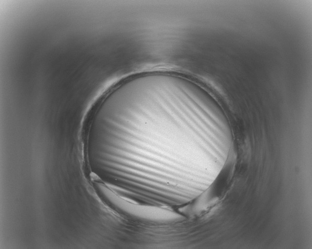 X0000066961414200604142103