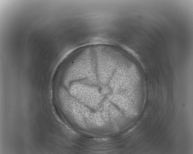 X0000066961415200604142103