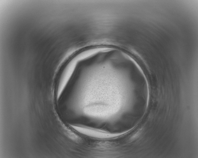 X0000066961416200604142103