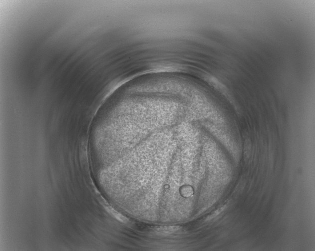 X0000066961417200604142103