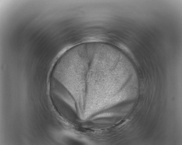 X0000066961419200604142103