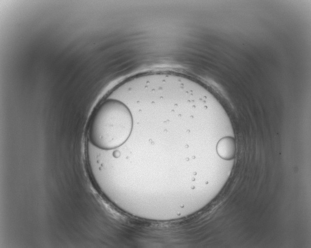 X0000066961420200604142103