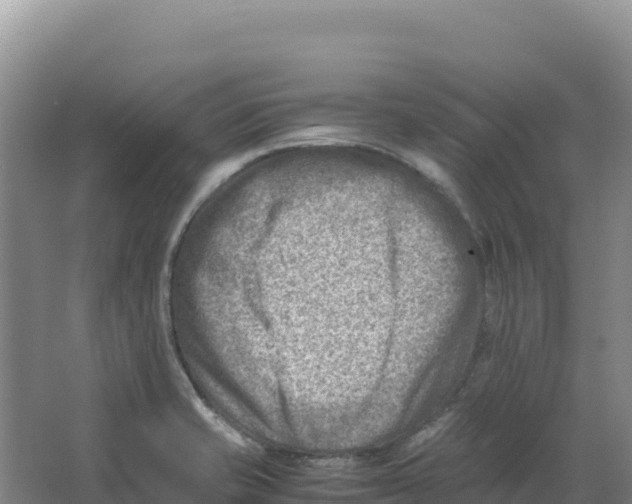 X0000066961421200604142103