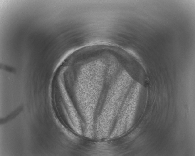 X0000066961422200604142103