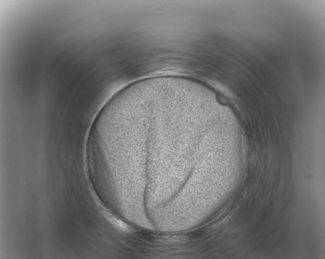 X0000066961423200604142103