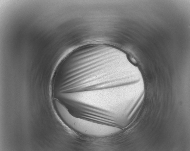 X0000066961424200604142103