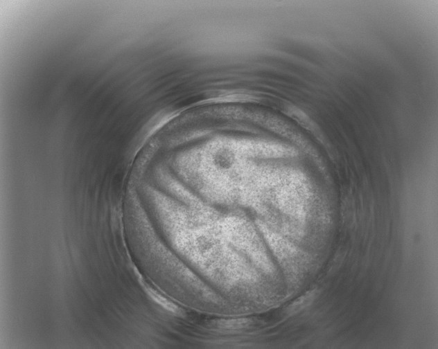 X0000066961425200604142103